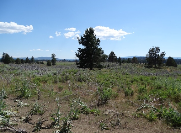  20 Acres for Sale in Chiloquin, Oregon