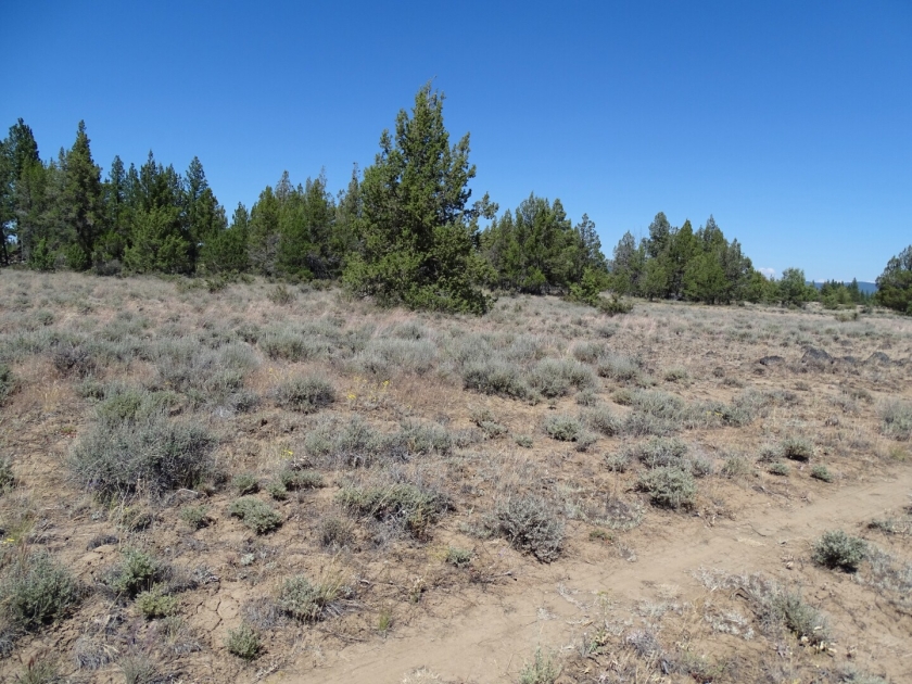  1.55 Acres for Sale in Chiloquin, Oregon