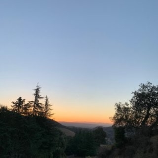GUZMAN LAND 