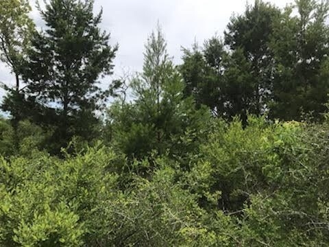  0.25 Acres for Sale in Chipley, Florida