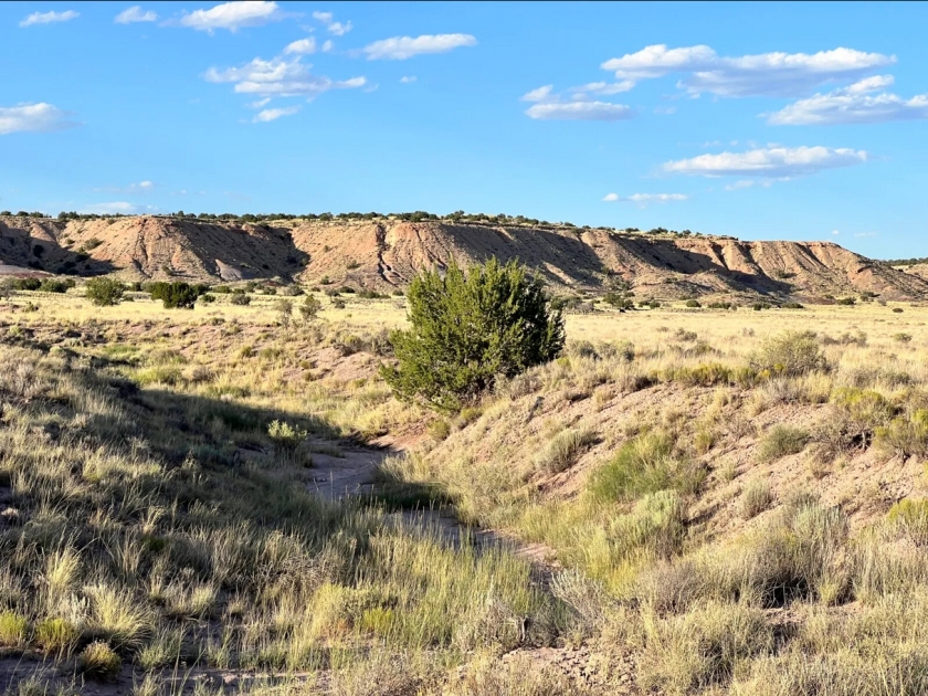  1 Acres for Sale in Sanders, Arizona