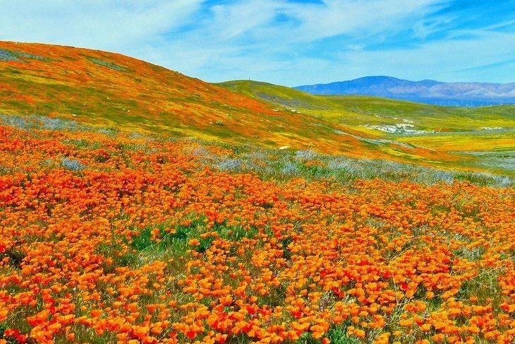  0.17 Acres for Sale in Redman, California