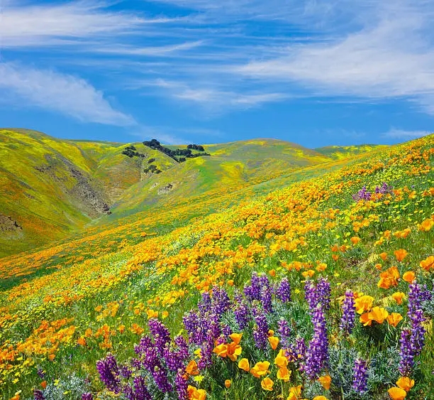  9.4 Acres for Sale in Tehachapi, California