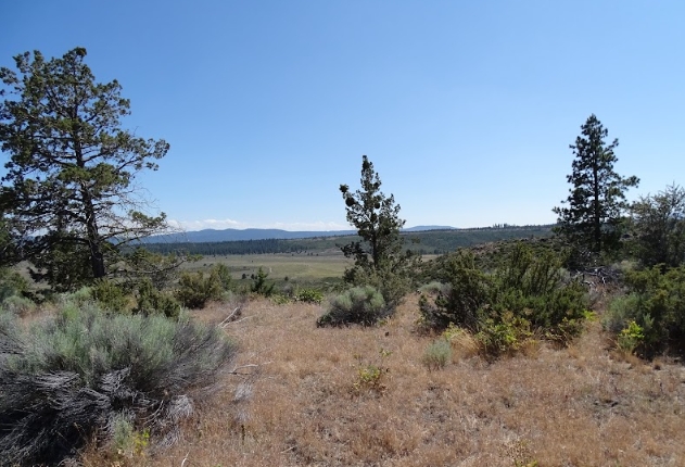  4.2 Acres for Sale in Chiloquin, Oregon