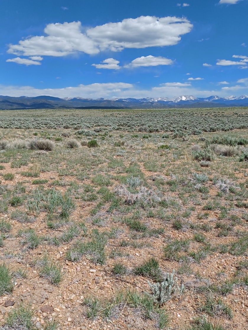  4.9 Acres for Sale in San Luis, Colorado