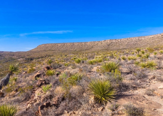  10.65 Acres for Sale in Mile High, Texas