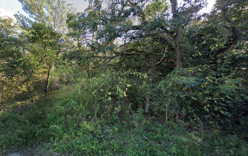 0.17 Acres for Sale in Ridge Manor, Florida