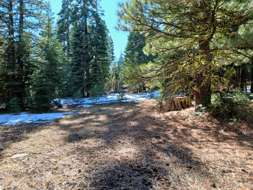  0.92 Acres for Sale in Alturas, California
