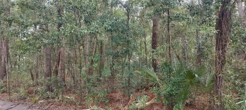  0.48 Acres for Sale in Hernando, Florida