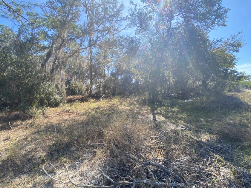  0.2 Acres for Sale in Kissimmee, Florida