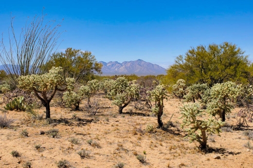  1.06 Acres for Sale in Tucson, Arizona