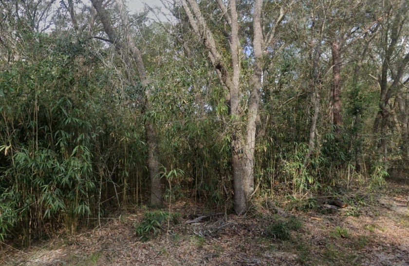  0.28 Acres for Sale in Altoona, Florida