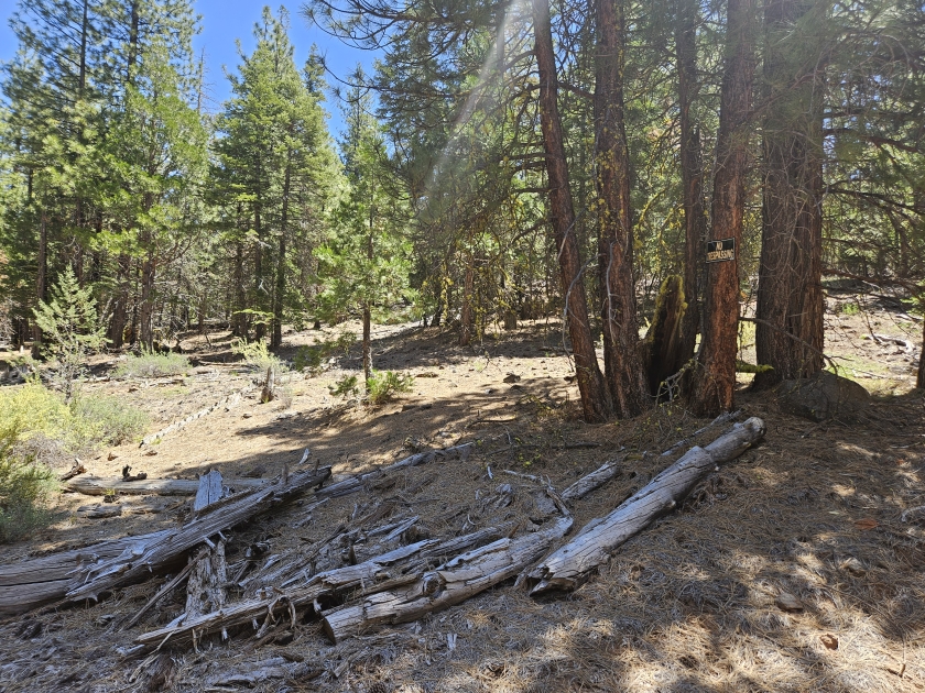  1.04 Acres for Sale in Alturas, California