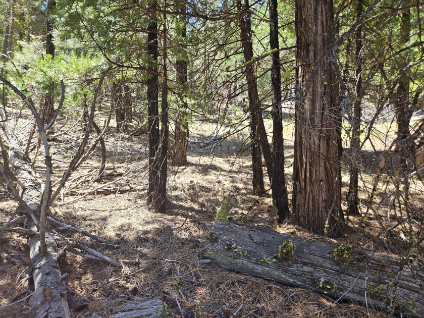  1.19 Acres for Sale in Alturas, California
