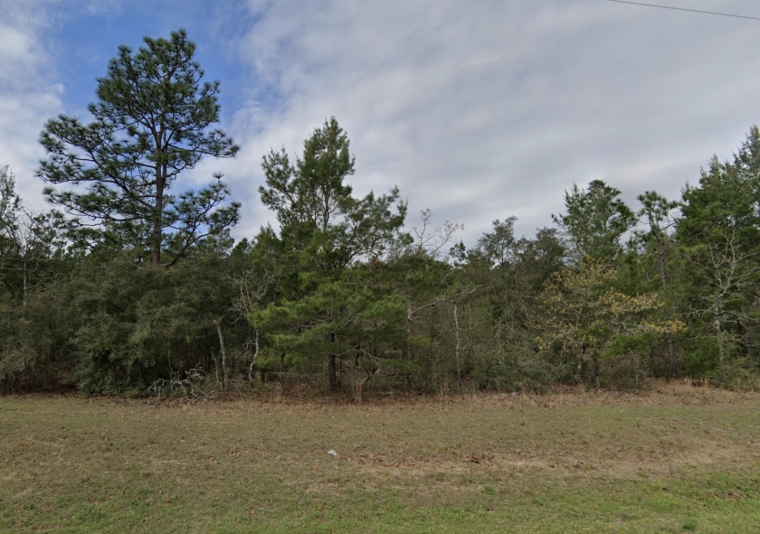  0.06 Acres for Sale in DeFuniak Springs, Florida