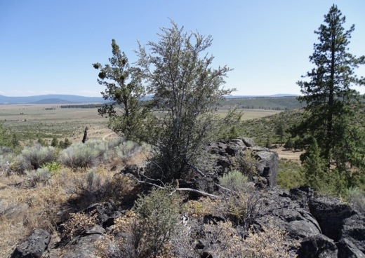  4.2 Acres for Sale in Sprague River, Oregon