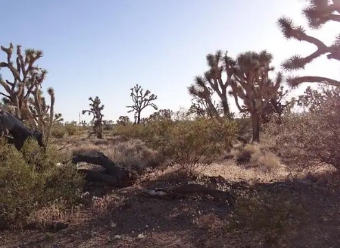  5 Acres for Sale in Dolan Springs, Arizona