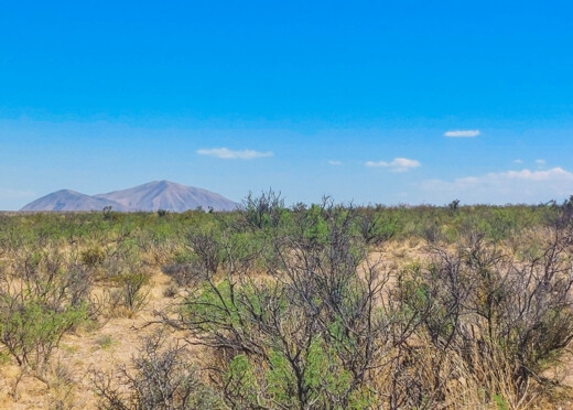  27 Acres for Sale in Salt Flat, Texas