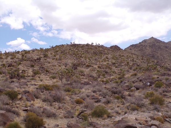  1.16 Acres for Sale in Dolan Springs, Arizona