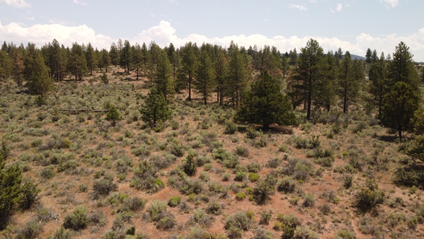  1.49 Acres for Sale in Beatty, Oregon