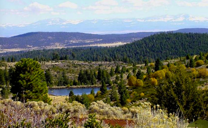  1.32 Acres for Sale in California Pines, California