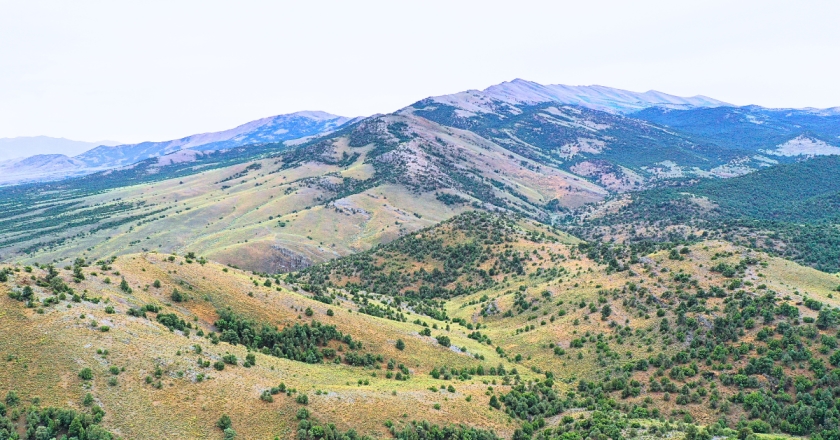  10 Acres for Sale in Montello, Nevada