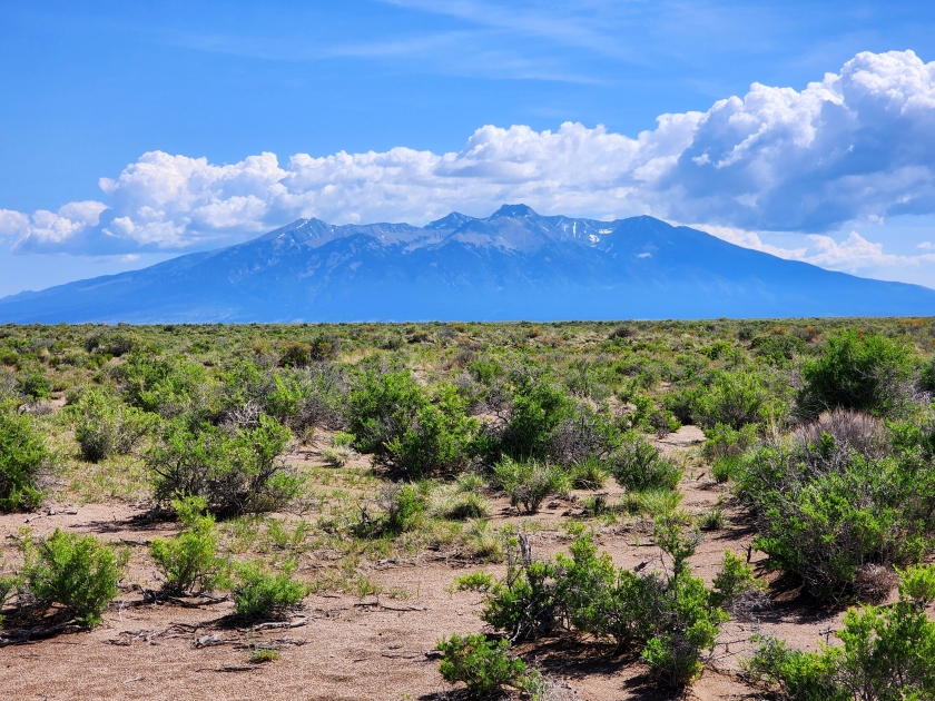  5 Acres for Sale in San Luis, colorado
