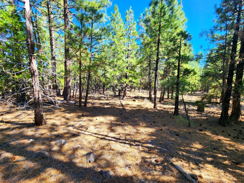  2.4 Acres for Sale in California Pines, California