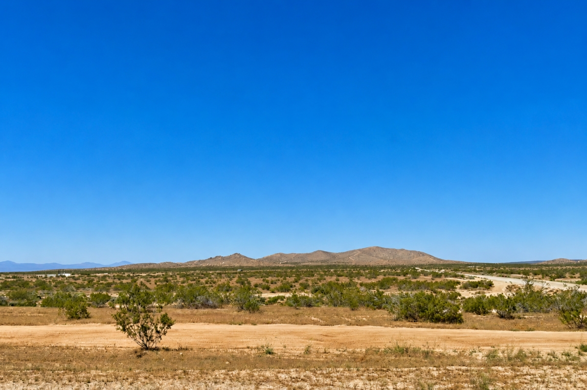 OFF-MARKET LAND DEAL. INCREDIBLY CHEAP LOT FOR SALE IN CALIFORNIA.