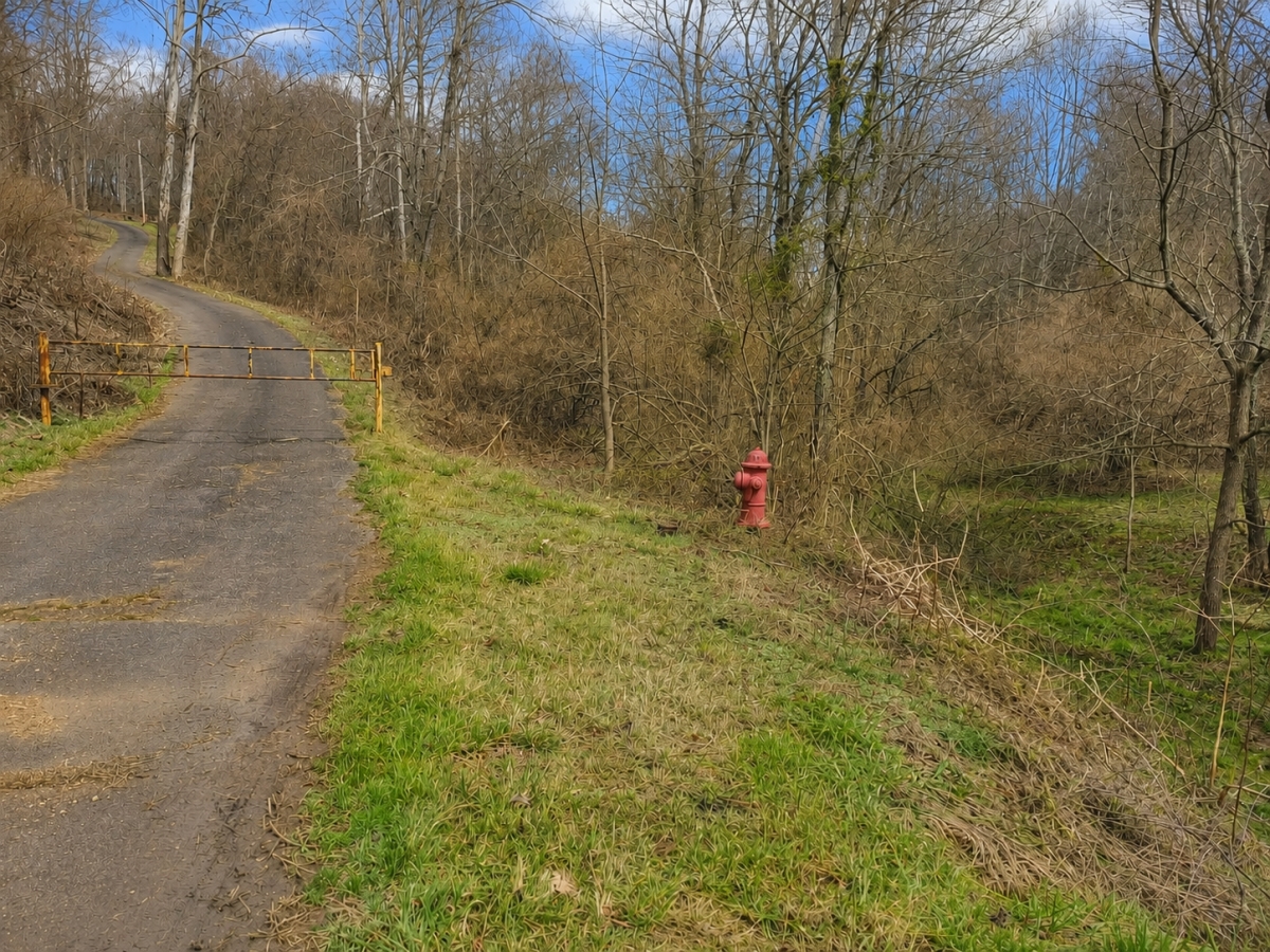 GREAT OPPORTUNITY! SPACIOUS 9.24-ACRE LOT FOR SALE IN VIRGINIA