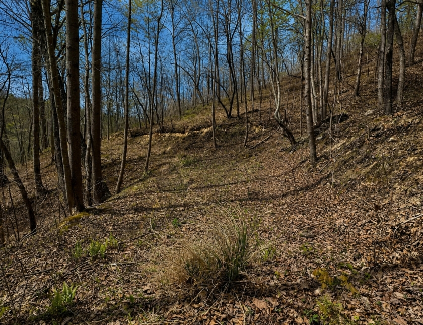 Hinkle, Knox County County, Kentucky