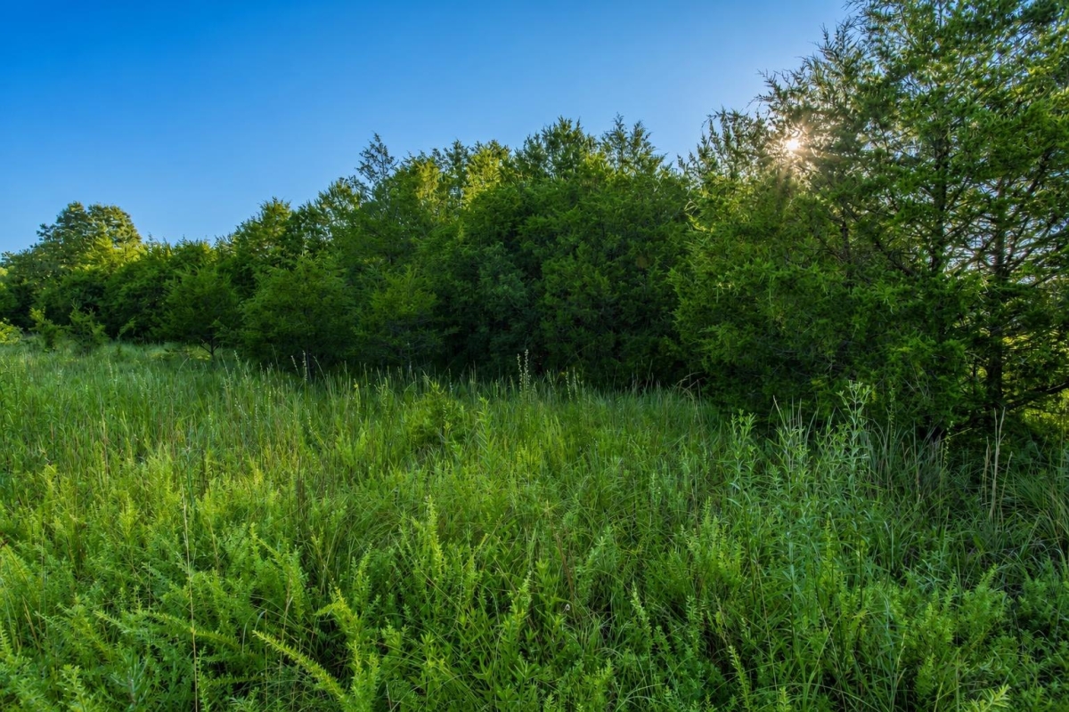 Horseshoe Bend, AR Land for Sale: 0.30 Acres with Owner Financing & Power Nearby