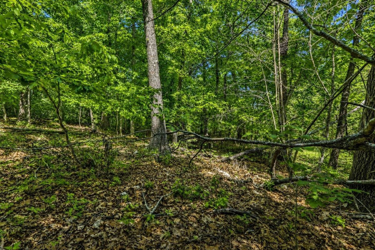 800-06272-000_Image 8.jpg