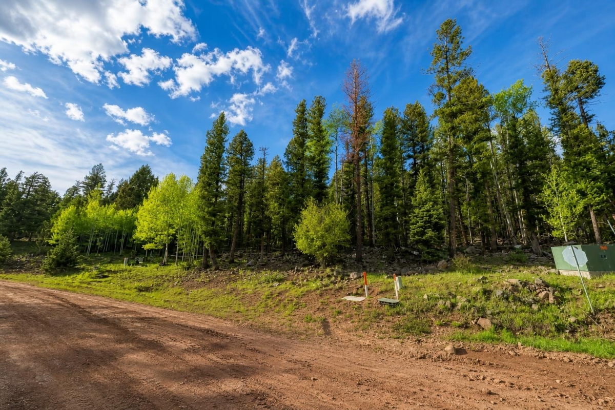 Angel Fire, NM Land for Sale: 0.91 Acres with Paved Road Access & Owner Financing