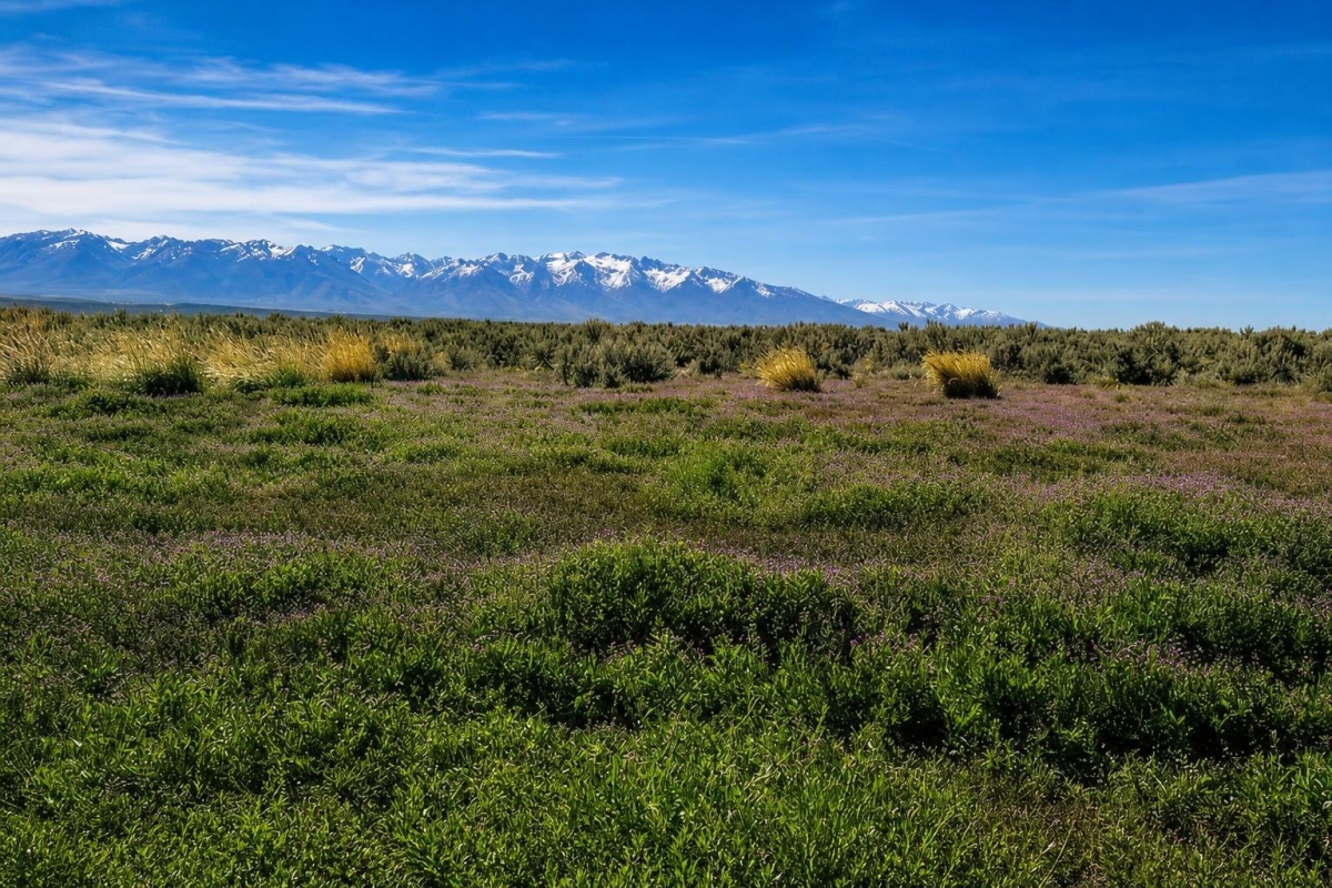 Elko, Nevada Land for Sale: 1.13 Acres with Owner Financing Listed