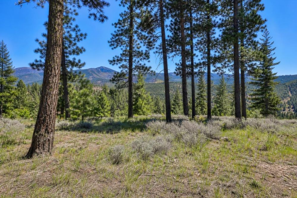 Supporting listing image for the Angel Fire, New Mexico land parcel