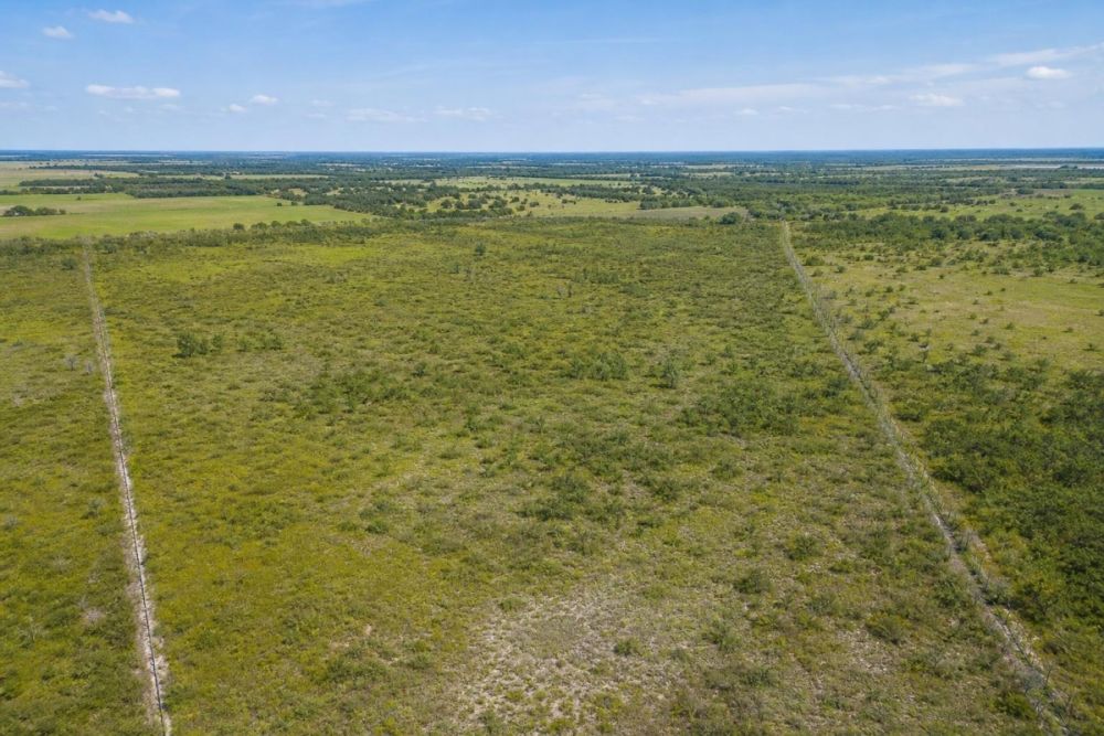 Listing image for the 1.25-acre Old Town, Florida land parcel
