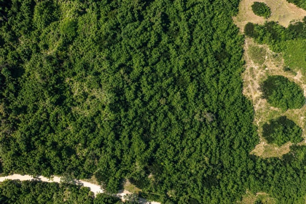 Additional listing photo for the Old Town, FL land parcel
