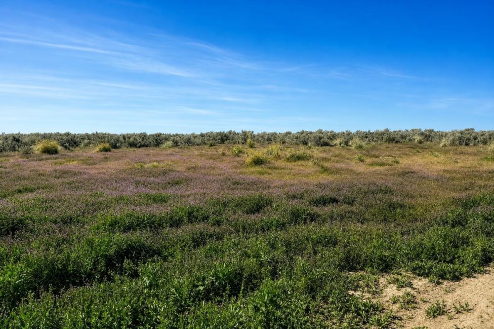 Additional listing gallery image for the Elko County, Nevada land listing