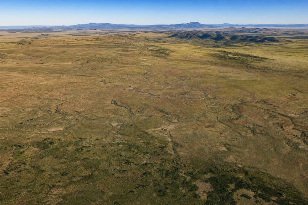 Listing image for the 0.51-acre land parcel in Concho, Arizona