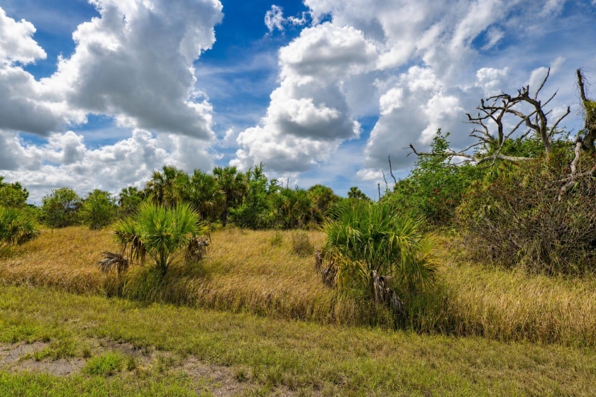 North Port, FL Land for Sale: 0.28 Acres with Paved Road Access