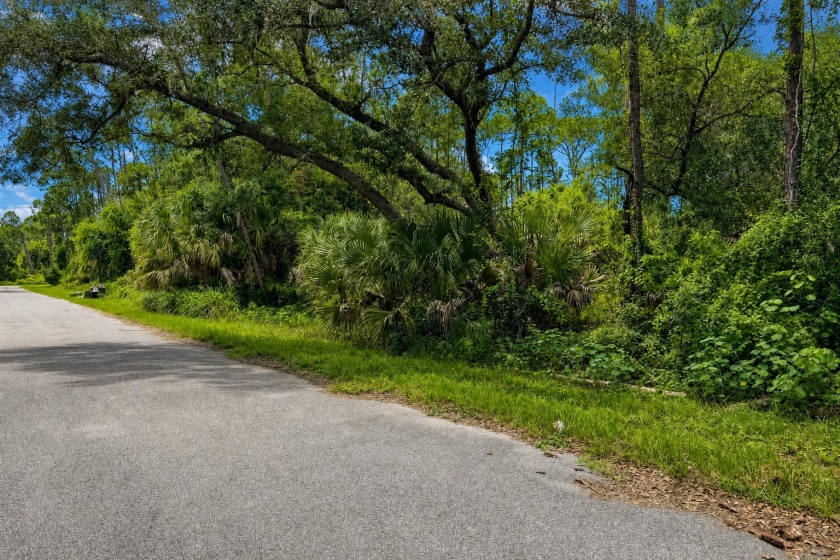 North Port, FL Land for Sale: 0.24 Acres with Paved Road Access