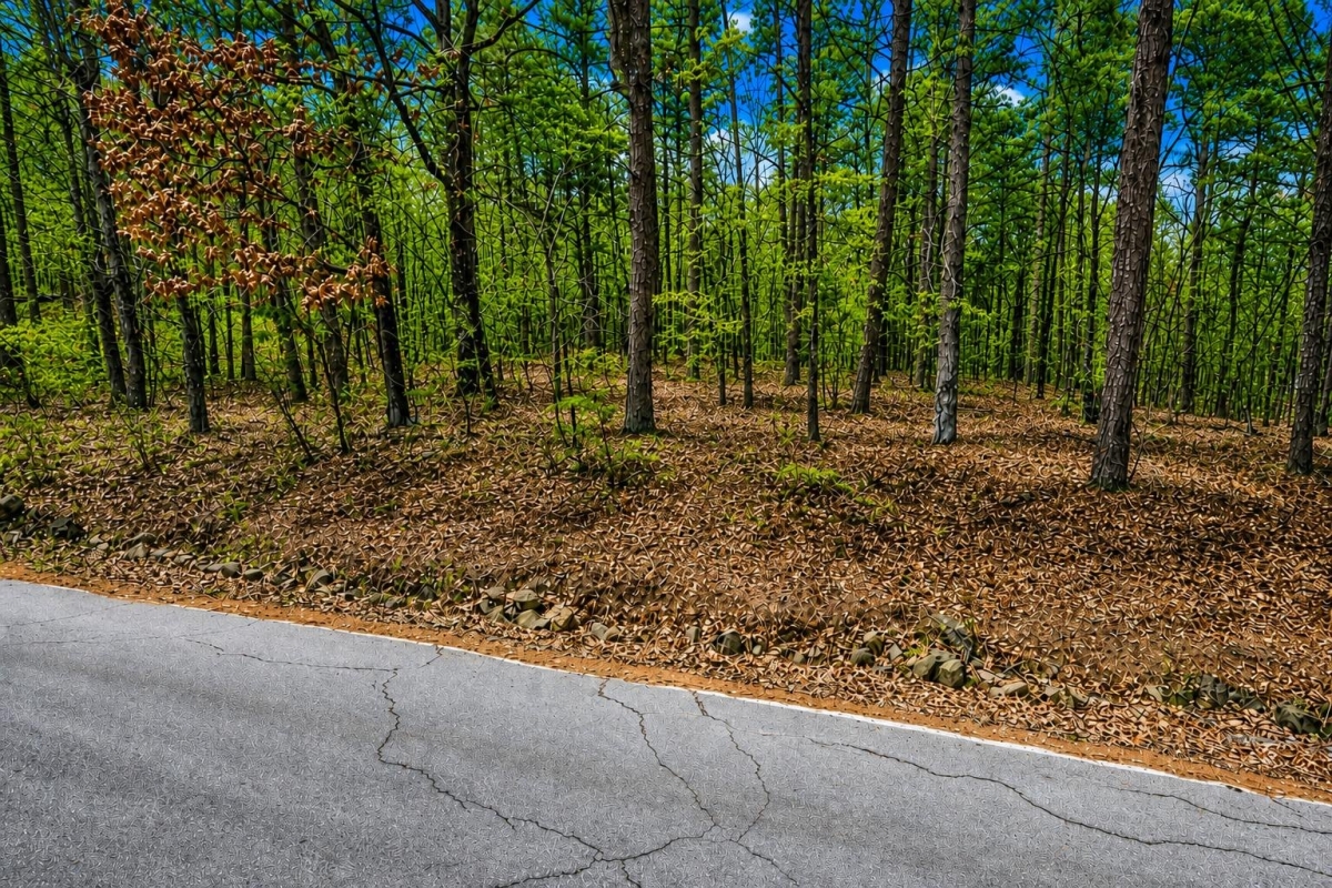 Greers Ferry Lake, AR Land for Sale: 0.5 Acres with Paved Access & City Utilities