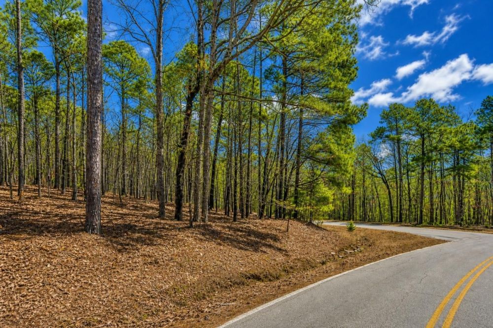 Greers Ferry Lake area land listing for a 0.5-acre Van Buren County parcel