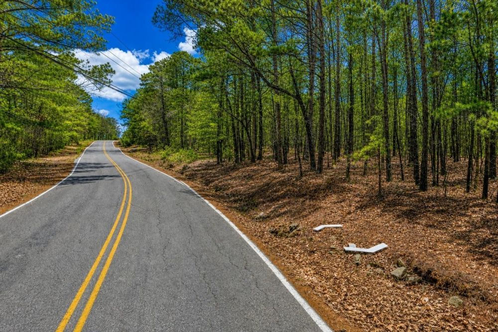 Additional listing image for the Chelsea Glade subdivision lot in Arkansas