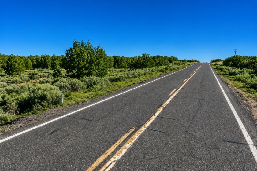 Saint Johns, AZ Land for Sale: 40 Acres with Paved Road Access