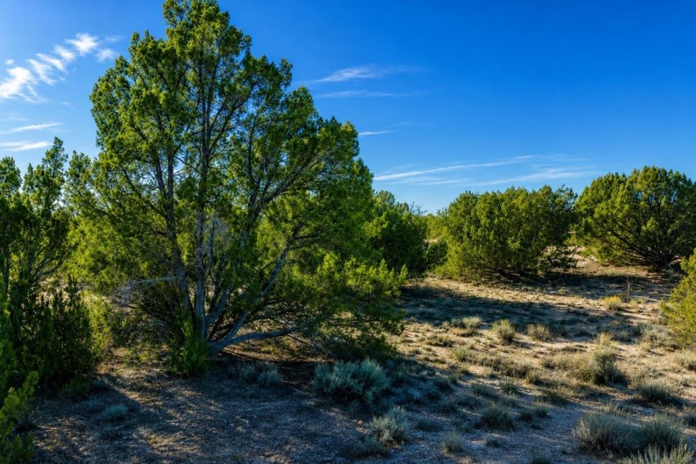 Supplied listing image for parcel 2205200A in Apache County, Arizona