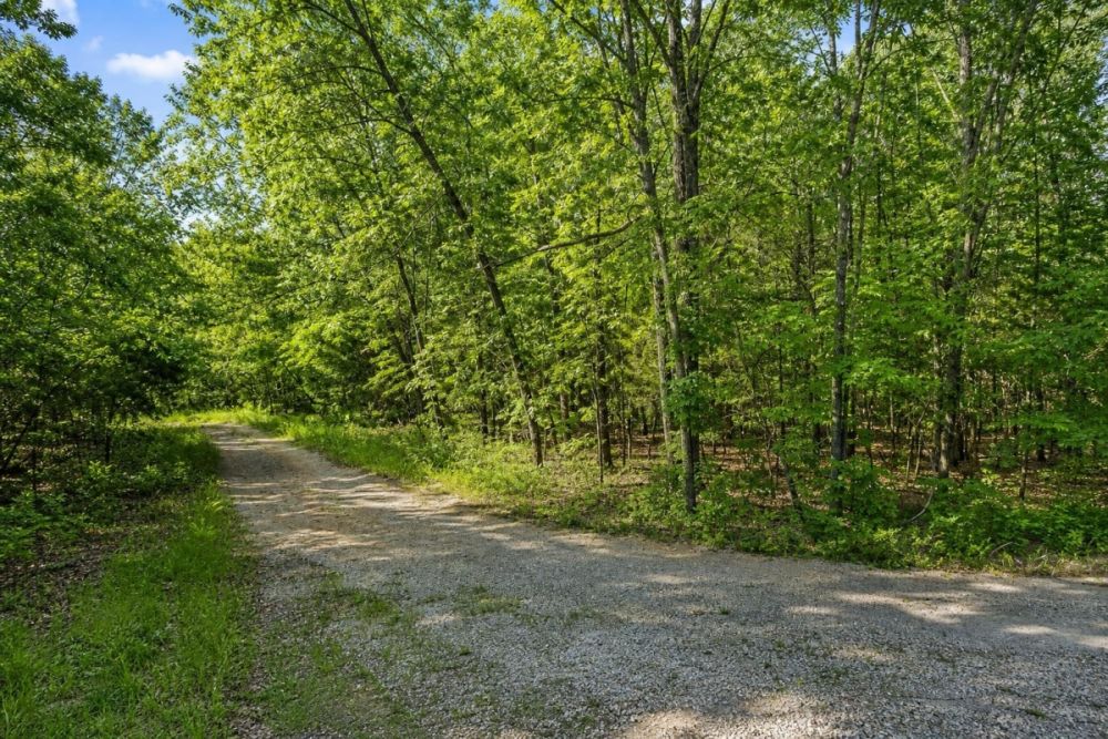 Listing-provided image for LC25696 in Cherokee Village Arkansas
