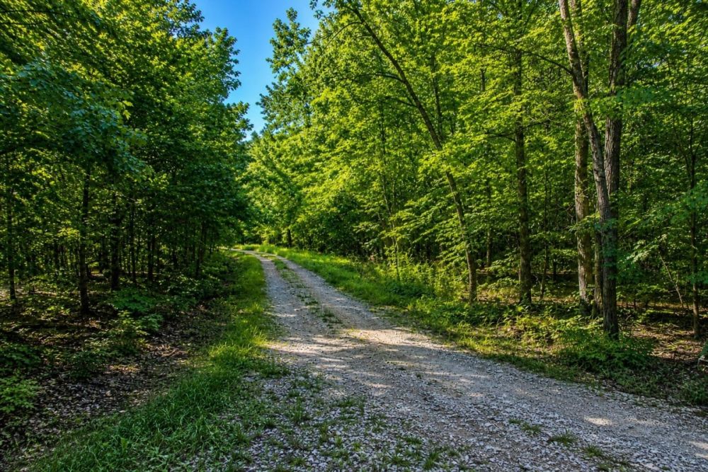 Additional listing-provided image for the Cherokee Village Arkansas land parcel