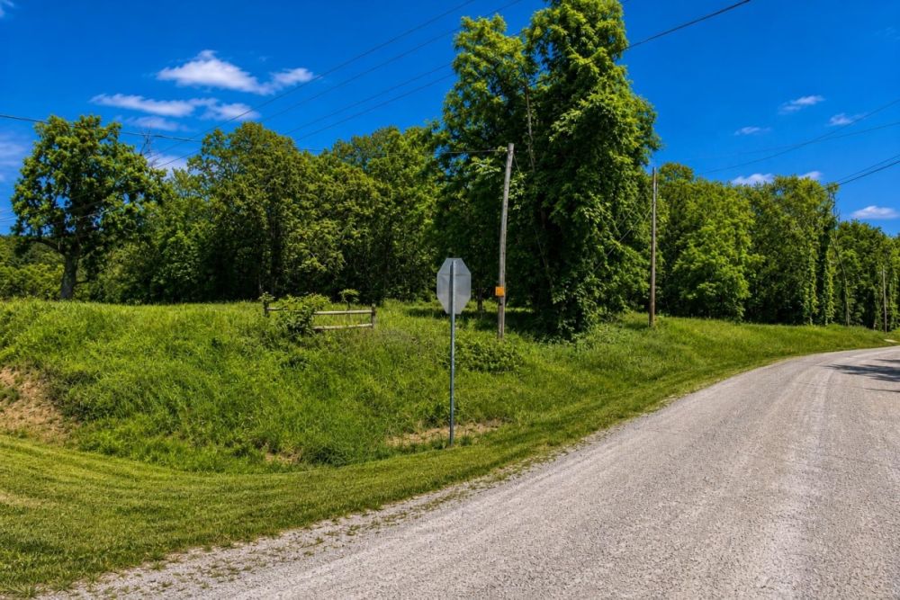 Land parcel listing image for 0.37 acres in Cherokee Village, Arkansas